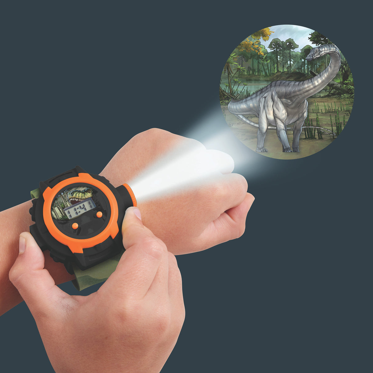 Dinosaur Projector Watch