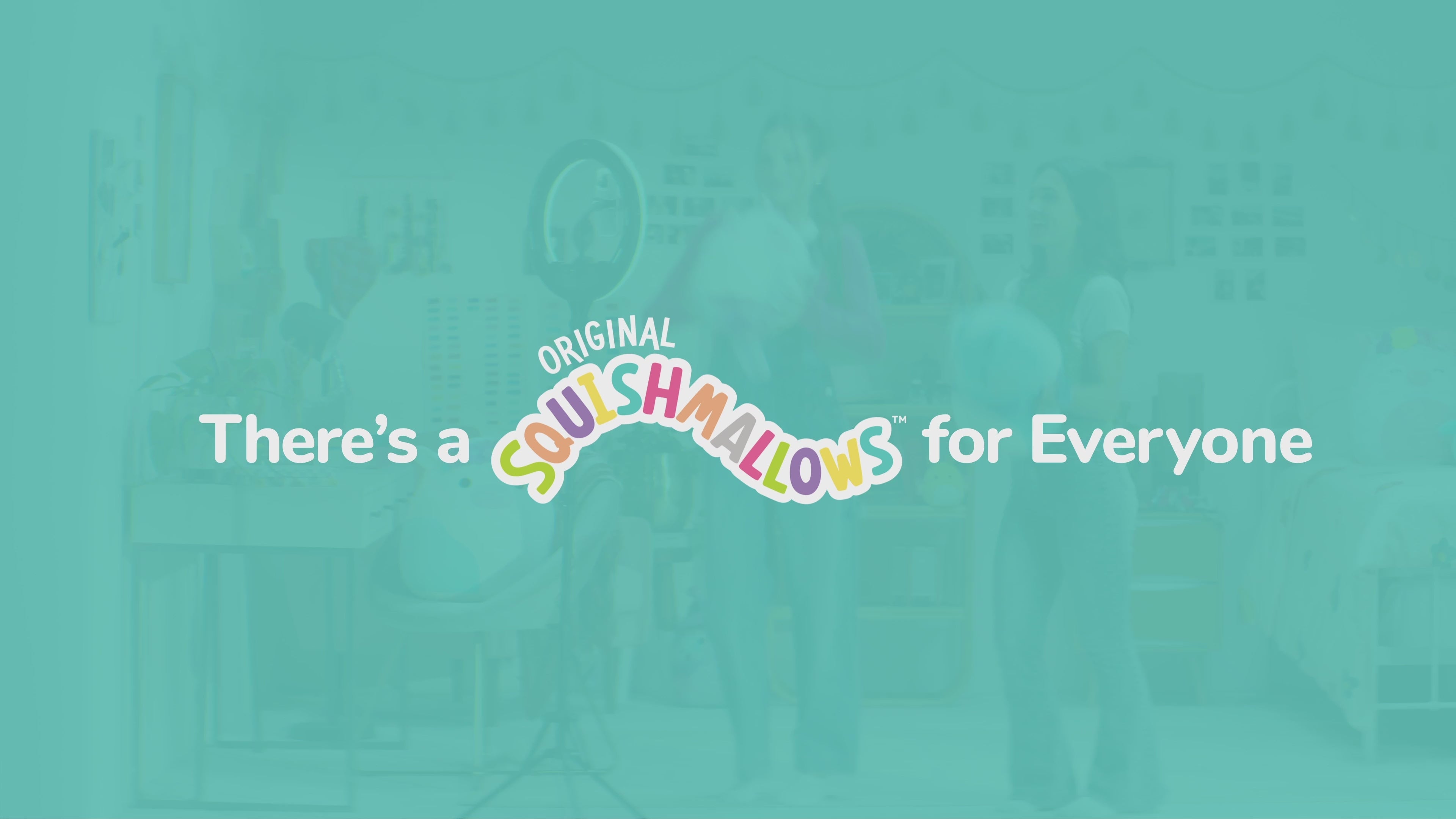 Load video: Squishmallows