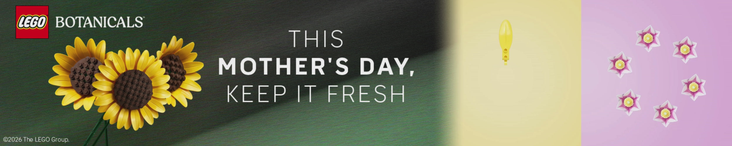 Load video: Egg-Citing Gift Ideas!