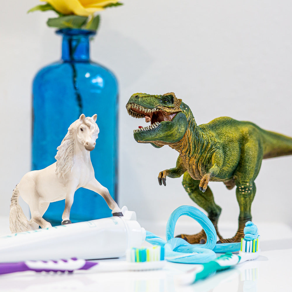 Schleich Tyrannosaurus Rex