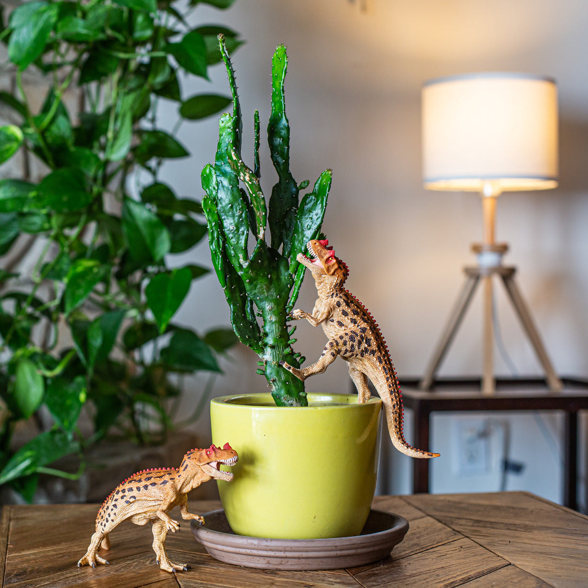 Schleich Ceratosaurus