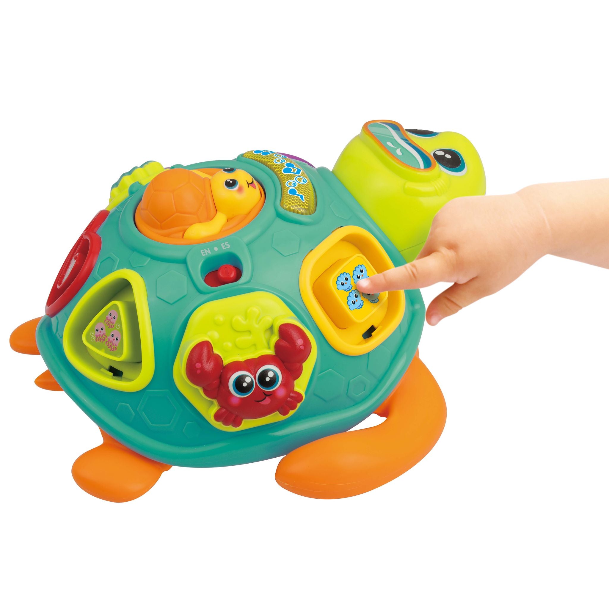 Winfun Pull Along Sort N Learn Turtle