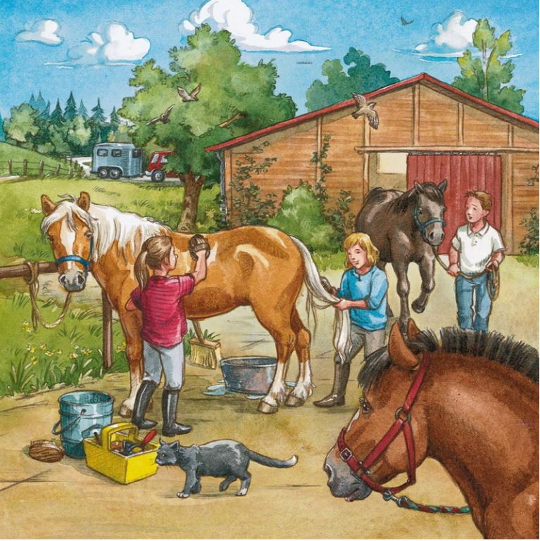 Ravensburger A Day With Horses Puzzle 3X49 Piece