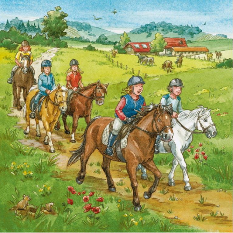 Ravensburger A Day With Horses Puzzle 3X49 Piece